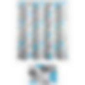 Набор для ванной комнаты из 2-х предметов: коврик 45*68 см, занавеска 180*160 см