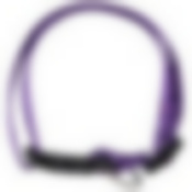 Ошейник с застежкой, размер S, 20-30 см