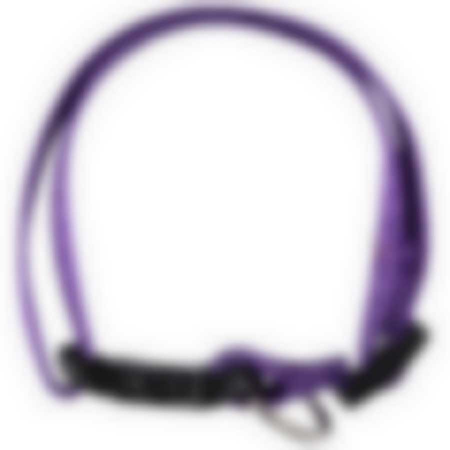 Ошейник с застежкой, размер S, 20-30 см