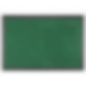 Коврик влаговпитывающий "Light"  50x80 см, зеленый, SUNSTEP™