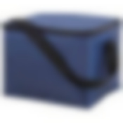 Термосумка CB-46, 5 л, размер 20*15*15см