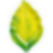 Блюдо для сервировки коллекция Happy day 20*13*2 см