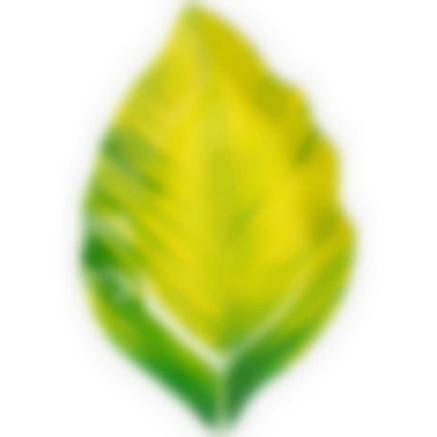 Блюдо для сервировки коллекция Happy day 20*13*2 см