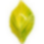 Блюдо для сервировки коллекция Happy day 15*9*3 см