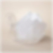 Икорница Белый лебедь 11*7*8,5 см