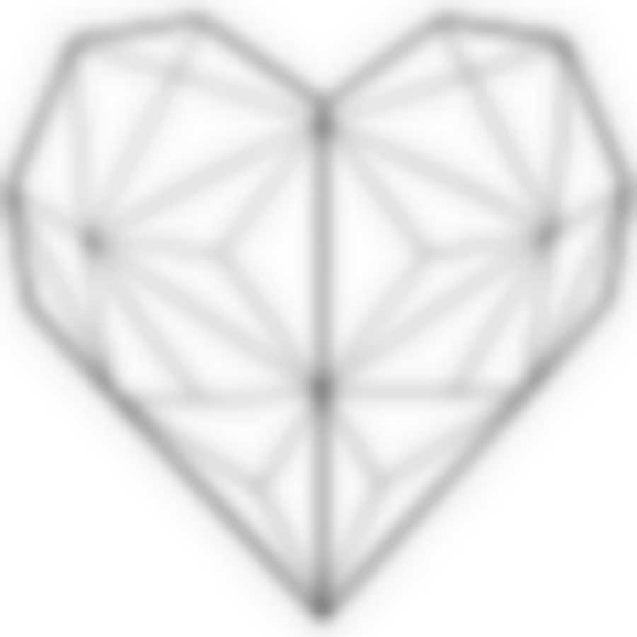 Органайзер-решетка Сердце (10 клипс в комплекте)