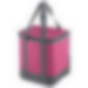 Термосумка CB-159, 13л., р-р: 25x20x28см