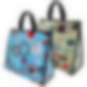 Термосумка Graphic, CB-91, ~18 л, р-р: 38*15*33см