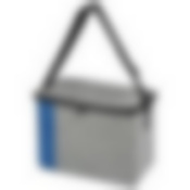 Термосумка СВ-38, 10л, р-р: 28x18x21см