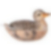 Сахарница с ложкой коллекция Duck stories 15х10х10,5 см