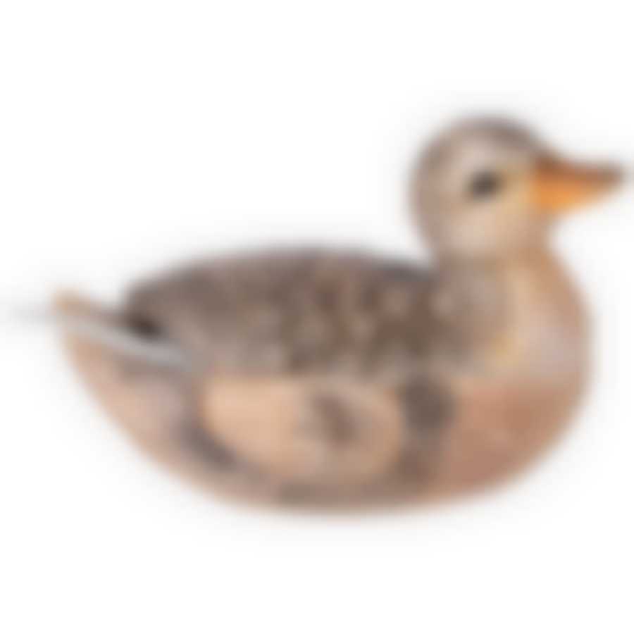 Сахарница с ложкой коллекция Duck stories 15х10х10,5 см