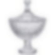 Блюдо с крышкой на ножке Saphir 17,8х25,3 см