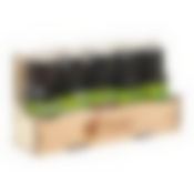 Набор эфирных масел "Легкое дыхание" (пихта,можжевельник, ель, шалфей,эвкалипт)  по 15 мл на полочке