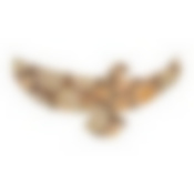 Панно можжевеловое, фигурное, орёл 26х50 см "Банные штучки" в кор.