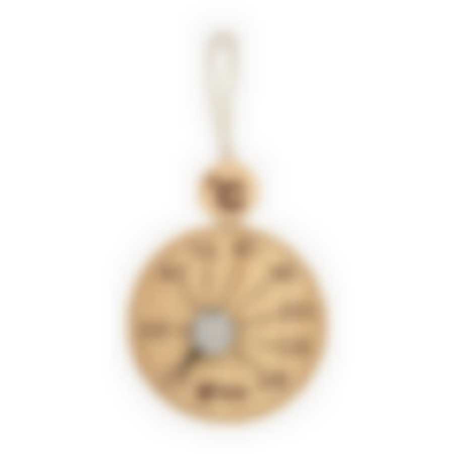 Термометр подвесной 10х19х2,5 см