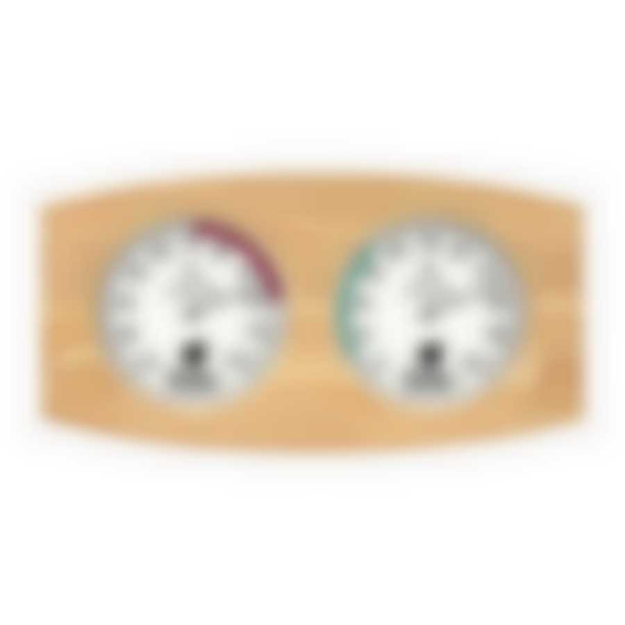 Термометр с гигрометром Банная станция, Большой Размер, 50х25,5х3 см