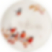 Тарелка обеденная lefard Лесная сказка 27см 