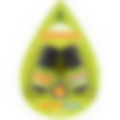 Набор эфирных масел (эвкалипт и пихта) в блистере в форме капли 2 масла по 10 мл