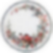 Поднос сервировочный agness коллекция Снегири 33*2,1 см