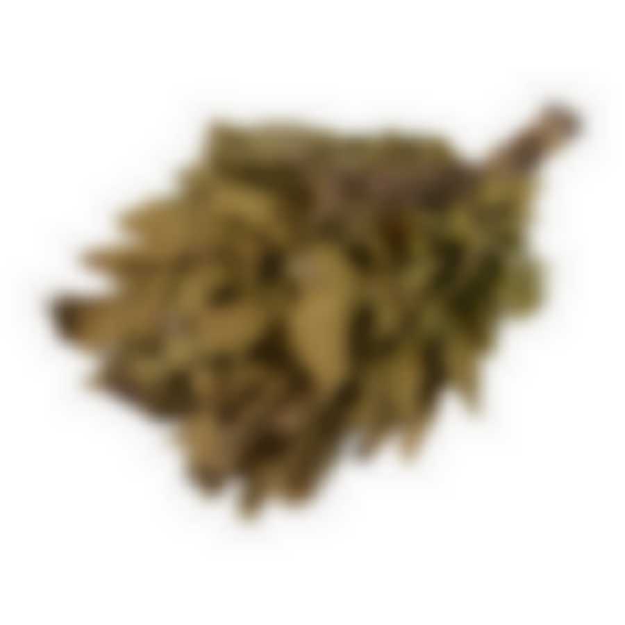 Веник дубовый с мятой в уп.