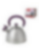 Чайник FESTIVAL 2.5л