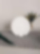 Тарелка плоская JEWEL Бьянко 26,5 см