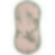 Губка-скраб двухсторонняя 19х9,5см 2шт, микрофибра+абразив