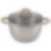 Кастрюля Fortuna, объем 4,5 л, из нерж стали с крышкой, матовый корпус, ручки с силиконом