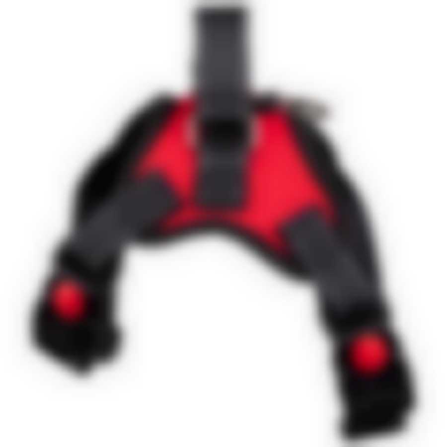 Шлейка для собаки для груди 42-53 см