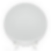 Тарелка плоская ф.Практик диам.210 мм.,h-24мм