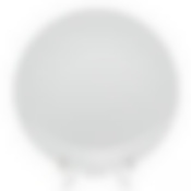 Тарелка плоская ф.Практик диам.270 мм.,h-28 мм