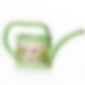 Лейка детская "Декор", объем 0,4 л (зелёная)