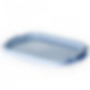 Поднос универсальный большой 33х49 см (голубой)