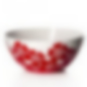 Салатник "Камелия", объем 3 л (бело-красный)