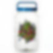 Бидон "Ягодный микс", объем 3 л ПЭТ, 145 х 145 х 250 мм (цвет в ассортименте)