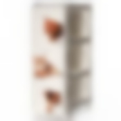 Комод узкий АЛЬТ ДЕКО 3 секции, 262*502*740 мм (котята) (цвет в ассортименте)