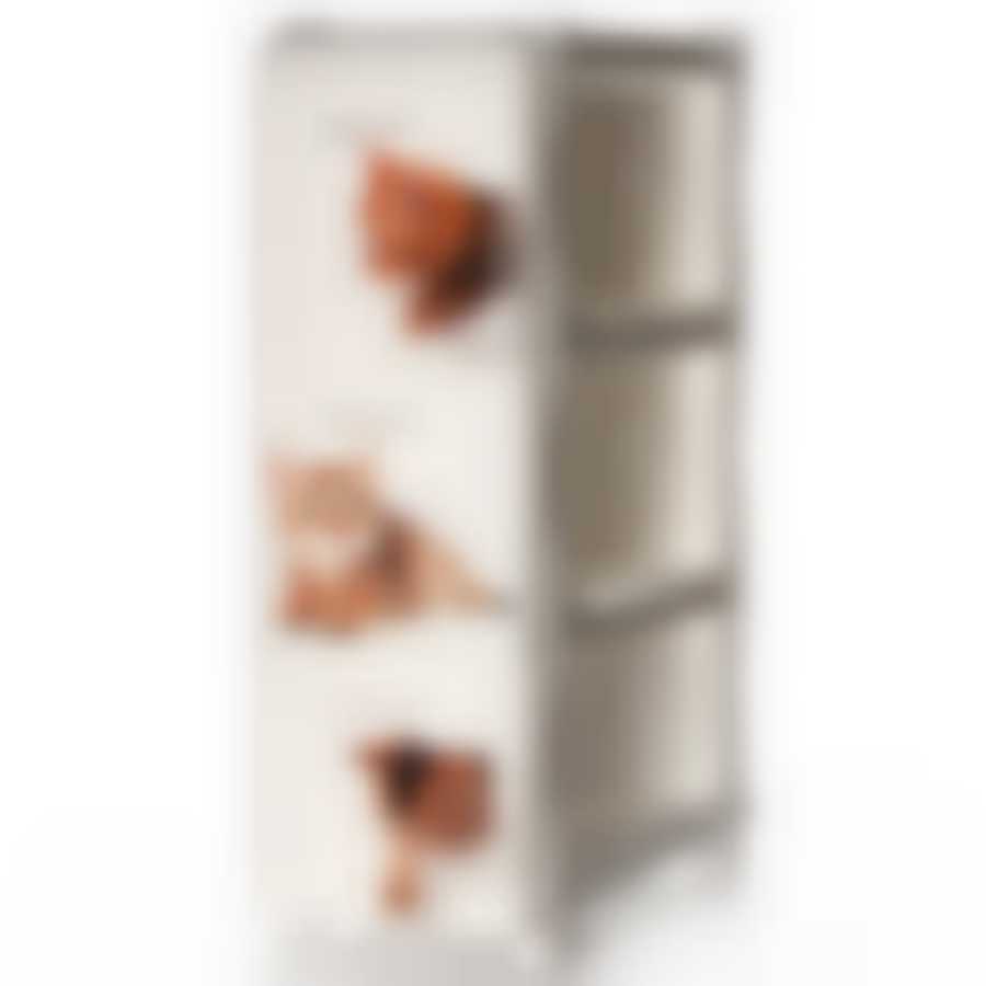 Комод узкий АЛЬТ ДЕКО 3 секции, 262*502*740 мм (котята) (цвет в ассортименте)