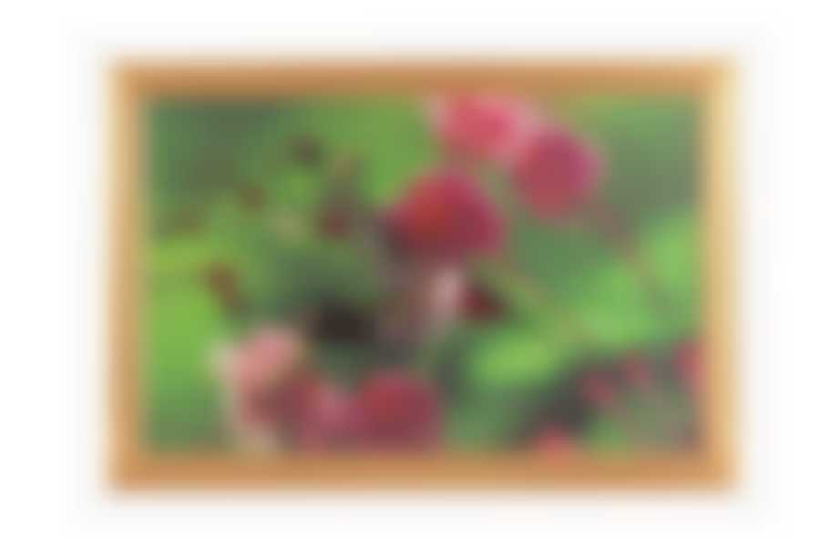 Картина "КОЛИБРИ", стразы, 55х35 см