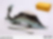 Икорница "РЫБКА" 22*7 см, с ложкой (подарочная упаковка)