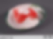 Менажница "ЗОЛОТАЯ РЫБКА" диаметр 17 см подарочная упаковка