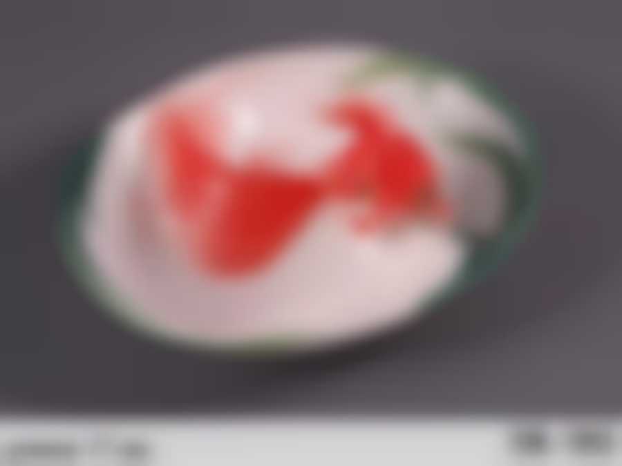 Менажница "ЗОЛОТАЯ РЫБКА" диаметр 17 см подарочная упаковка