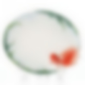 Блюдо "ЗОЛОТАЯ РЫБКА", 27*22 см