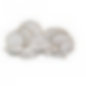 Столовый сервиз на 6 персон Lefard Цветочная Симфония, 28 предметов