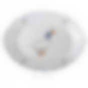 Блюдо овальное Moritz Zdekauer Geese, длина 40 см