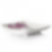 Блюдо Idea "Деко Орхидея", 24 х 25 см