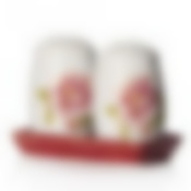 Набор для специй Polystar "Райский сад", 3 предмета