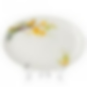 Тарелка столовая мелкая Domenik Paradise Bird, D=31 см