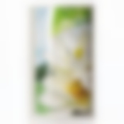 Полка для ванной "Лотос" (угловая) (цвет в ассортименте)