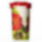 Емкость "Изюминка" (гербера), объем 1 л