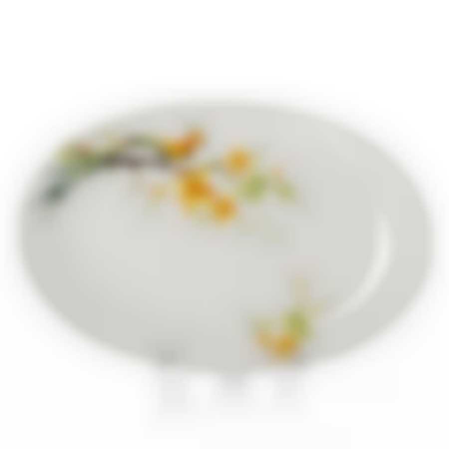 Тарелка столовая мелкая Domenik Paradise Bird, D=26 см